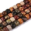 Natural Picasso Jasper/Polychrome Jasper Beads Strands G-Q616-02A-06-2