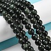 Natural Serpentine Beads Strands G-P504-6mm-01-2