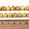 Natural Imperial Jasper Beads Strands G-N342-63J-5