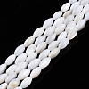 Natural Freshwater Shell Beads Strands SHEL-N026-212-3