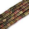 Natural Unakite Beads Strands G-Q606-60A-02-2