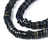 Natural Freshwater Shell Beads Strands BSHE-I016A-01A-3