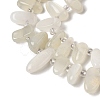 Natural Moonstone Beads Strands G-P604-A27-01-4