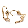 Brass Leverback Earring Findings X-KK-F824-006G-1