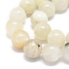 Natural Rainbow Moonstone Beads Strands G-O201A-17C-3