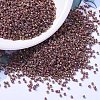 MIYUKI Delica Beads SEED-JP0008-DB1013-1