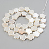 Electroplate Natural Freshwater Shell Beads Strands SHEL-T017-08-2