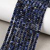 Natural Sodalite Beads Strands G-B175-A10-2x4mm-1