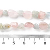 Natural Morganite Beads Strands G-P497-01C-57-5