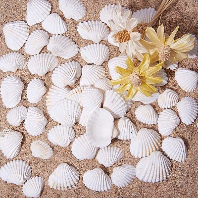 Shell Beads BSHE-PH0003-15-1