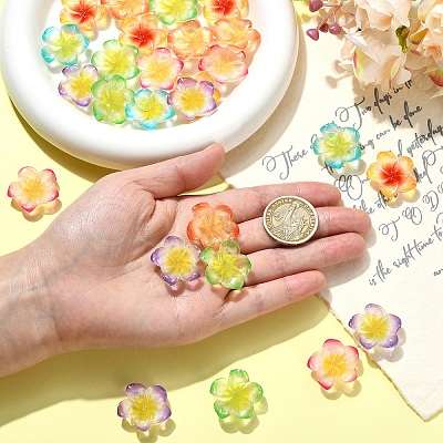 30Pcs 6 Colors Resin Cabochons RESI-YW0005-98-1
