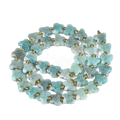 Natural Amazonite Beads Strands G-N371-10A-06-1