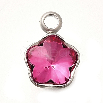 304 Stainless Steel Pendants STAS-Q346-02P-09-1