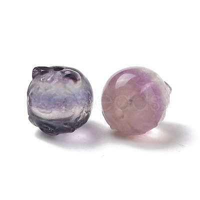 Natural Fluorite Beads G-P483-06-1