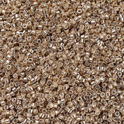 MIYUKI Delica Beads X-SEED-J020-DB0411-1