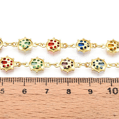 Brass Insecta Link Chains CHC-N023-05G-1