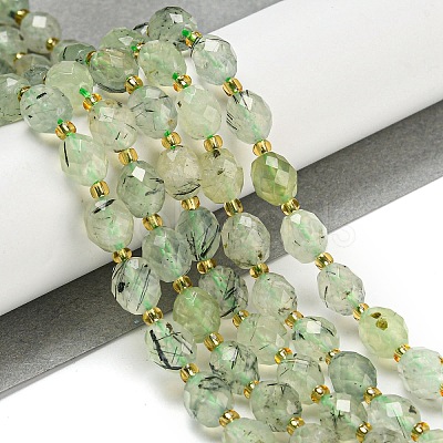 Natural Prehnite Beads Strands G-N342-43-1