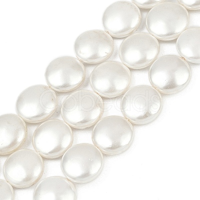 Electroplated Shell Pearl Beads Strands BSHE-G027-13D-1