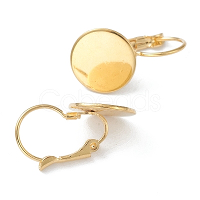 304 Stainless Steel Leverback Earring Findings KK-H152-08B-G-1