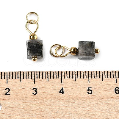 Natural Labradorite Pendants STAS-Z129-01G-03-1