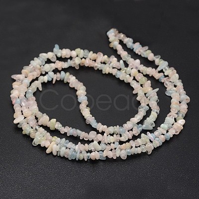 Chips Natural Colorful Morganite Beads Strands G-N0164-59-1