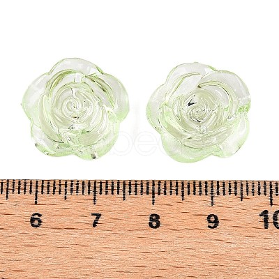Transparent Acrylic Beads OACR-N137-32C-1