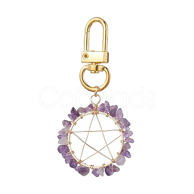 Gemstone Pendants Keychain HJEW-JM01811-1