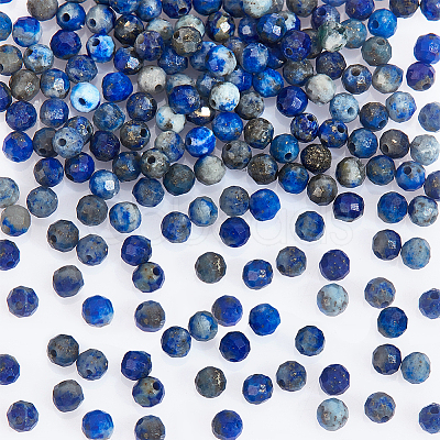 Nbeads 2 Strands Natural Lapis Lazuli Beads Strands G-NB0004-64-1