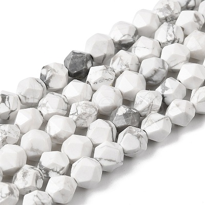 Natural Howlite Beads Strands G-Z119-A43-01-1