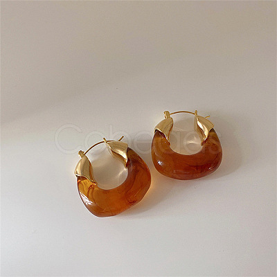 Retro Alloy Resin U-Shaped Hoop Earrings FS-WG1DDE7-02-1
