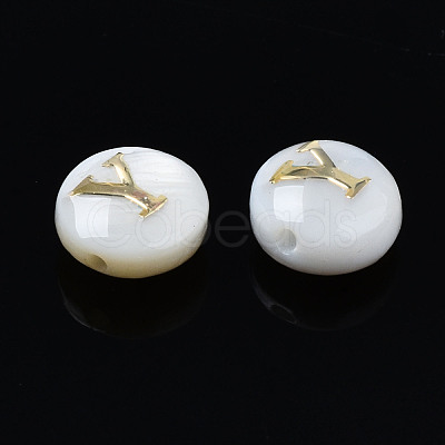 Natural Freshwater Shell Beads SHEL-S278-036Y-1