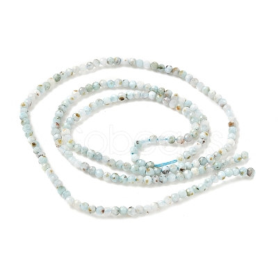 Natural Larimar Beads Strands G-L627-A01-2mm-1