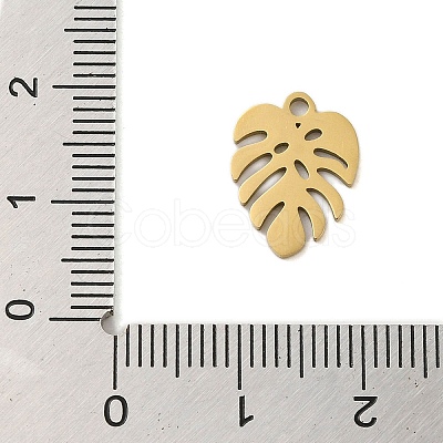 304 Stainless Steel Charms STAS-S123-01G-06-1
