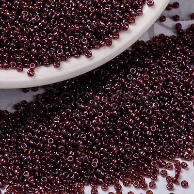 MIYUKI Round Rocailles Beads X-SEED-G009-RR0313-1