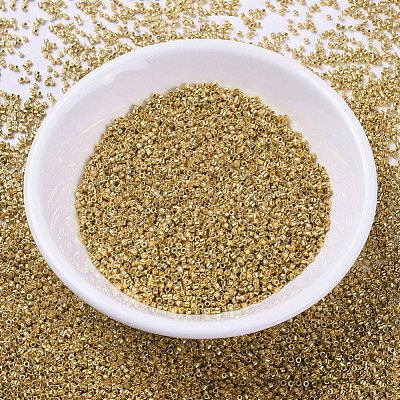 MIYUKI Delica Beads X-SEED-J020-DB0410-1