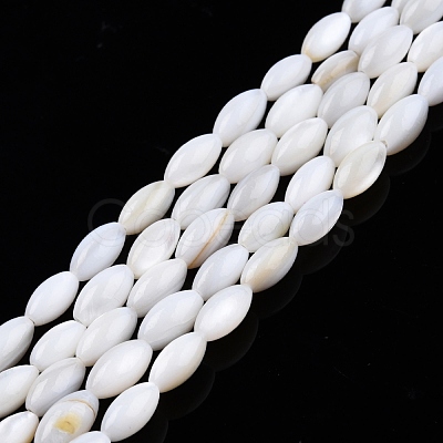 Natural Freshwater Shell Beads Strands SHEL-N026-212-1