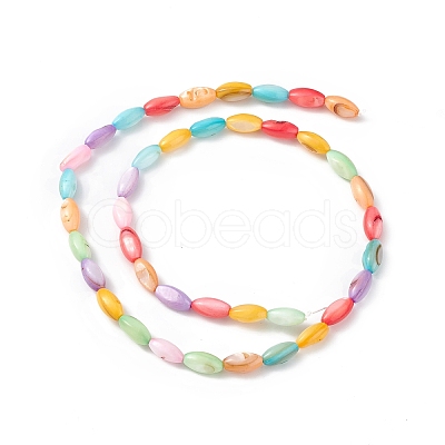 Natural Freshwater Shell Dyed Beads Strands X-SHEL-M018-13-12-1