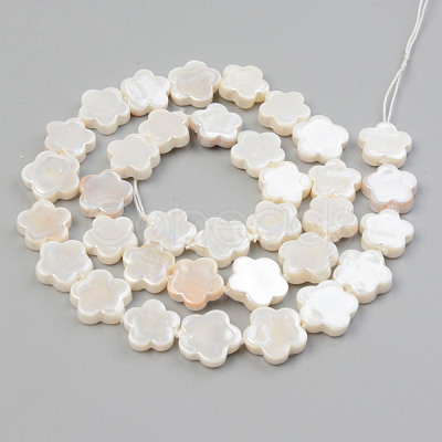 Electroplate Natural Freshwater Shell Beads Strands SHEL-T017-08-1