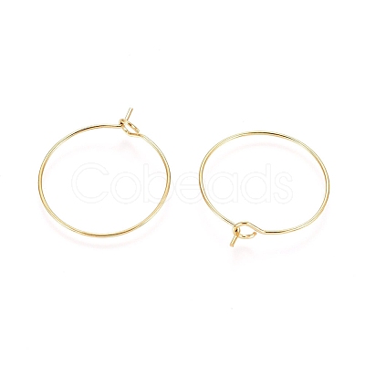 Ion Plating(IP) 316L Surgical Stainless Steel Hoop Earring Findings X-STAS-D164-02G-A-1