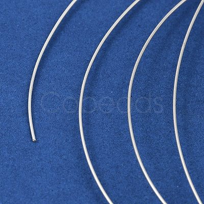 925 Sterling Silver Wire FIND-Q117-01C-S-1