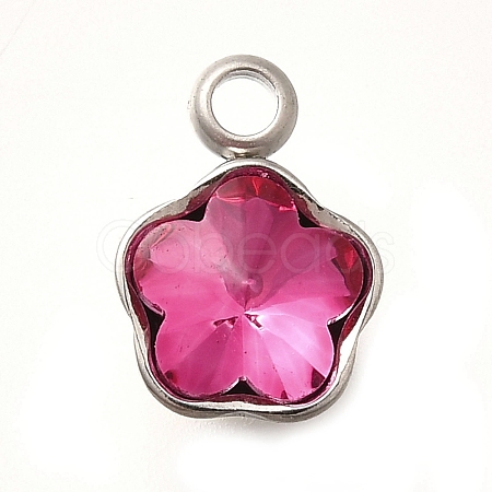 304 Stainless Steel Pendants STAS-Q346-02P-09-1