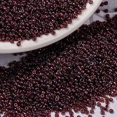 MIYUKI Round Rocailles Beads X-SEED-G009-RR0313-1