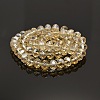 Pearl Luster Plated Faceted Rondelle Electroplate Glass Beads Strands GLAA-A024F-PL01-2