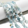 Natural Aquamarine Chip Beads Strands G-L154-19-1