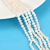 Natural Cultured Freshwater Pearl Beads Strands PEAR-P064-19B-04A-1