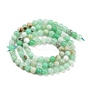 Natural Chrysoprase Beads Strands G-P503-6MM-03-3