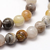 Natural Bamboo Leaf Agate Beads Strands X-G-F364-02-8mm-3