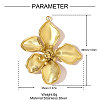 304 Stainless Steel Pendants STAS-OY007-81G-2