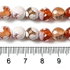 Dyed & Heated Natural Fire Crackle Agate Beads Strands G-P539-B01-12-5