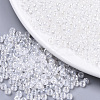Transparent Glass Beads SEED-S040-08A-11-1